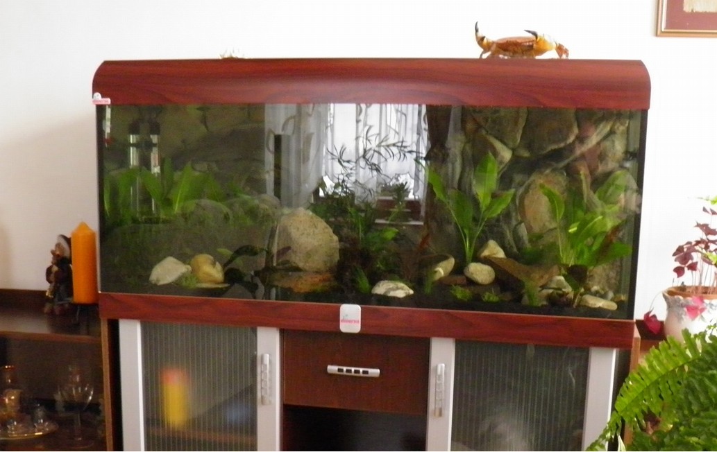 ...také máme "oploutvence"